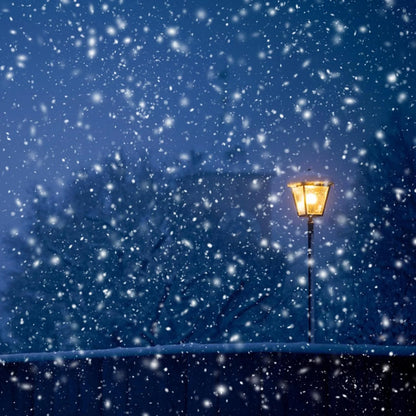 Snowfall Lamp: Handmade Snowy Streetlight Night Light DIY Material Pack (2 Sets)